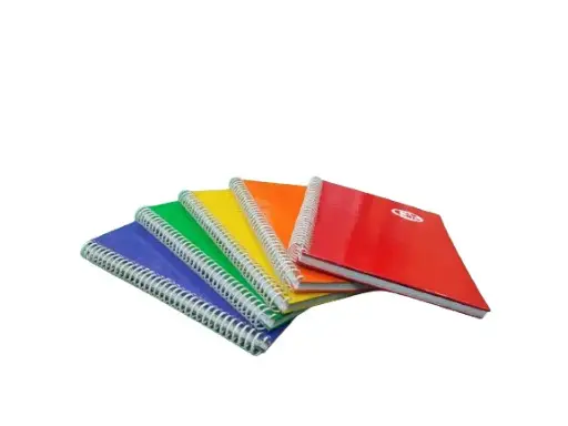 CUADERNO ANILLADO 100 HOJAS